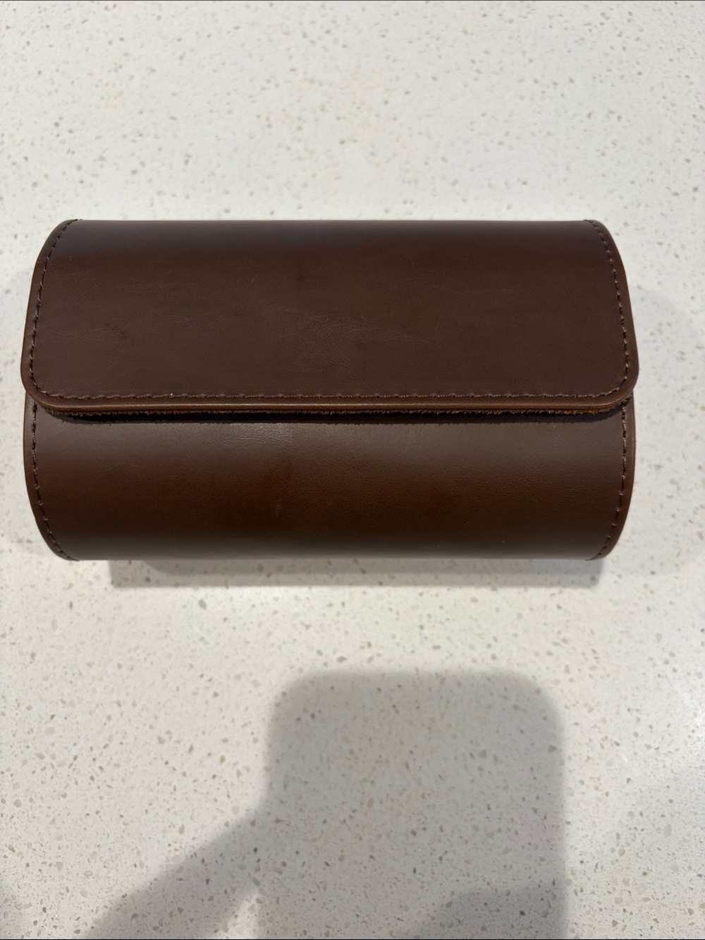 Men's Brown Leather Travel Watch Case